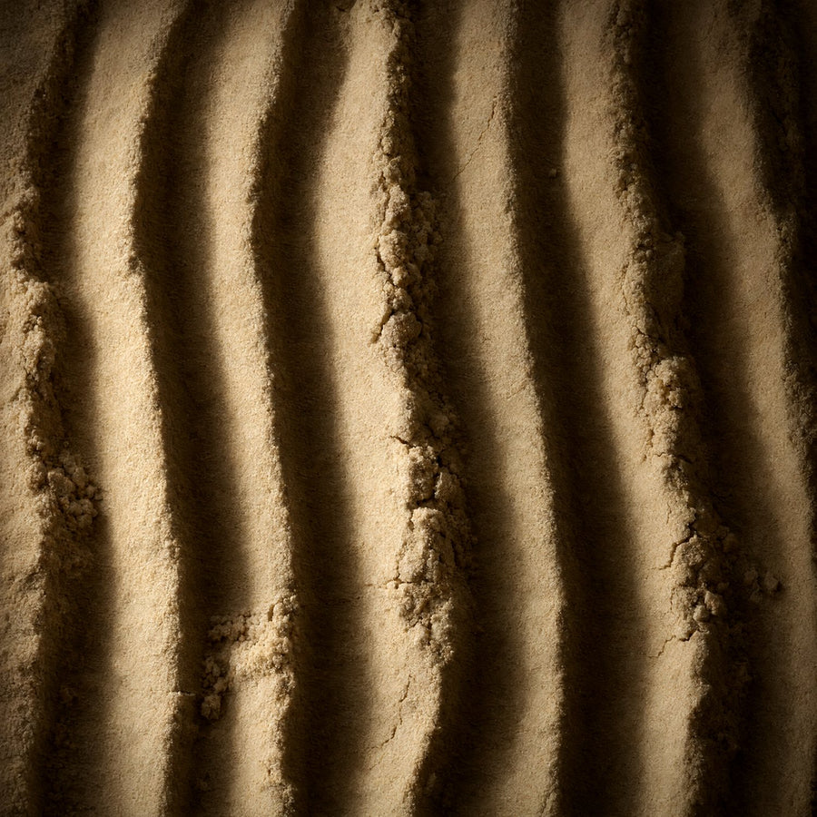 Poudre de sulfate de chondroïtine d'origine marine