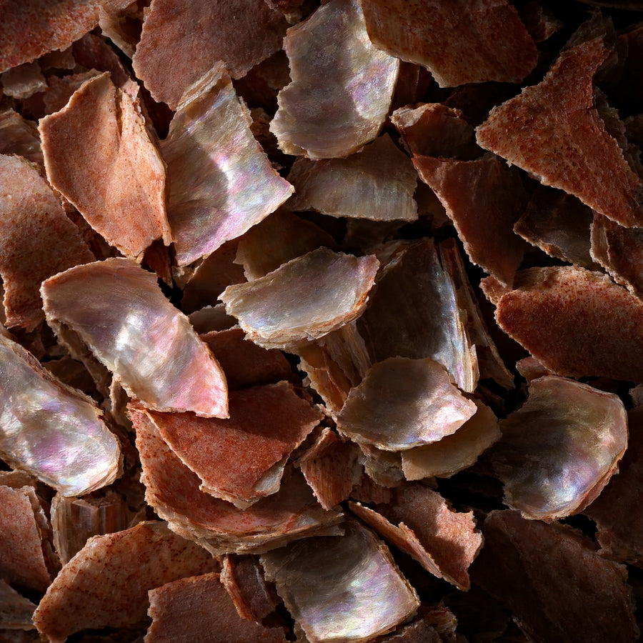 Fragments de carapace de crustacés, source marine du sulfate de glucosamine